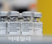 [임상돋보기]화이자 "백신 부스터샷, 코로나19 예방효능 95.6%"