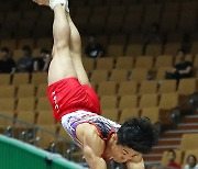 남자 체조 양학선, '착지 실수'로 세계선수권대회 도마 5위