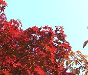 [날씨] 휴일 전국 청명한 가을..이번 주 선선