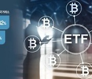 "약세장엔 ETF".. 개미들, 메타버스·탄소배출권 ETF에 몰려 [테마형 ETF 성장가속]