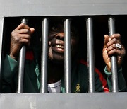 나이지리아 무장세력, 교도소 습격해 800여명 석방