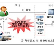 올해 과태료만 380억..유령회사 소득 해외계좌 숨긴 사주도