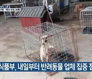 농식품부, 내일부터 반려동물 업체 집중 점검