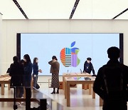 백기 든 애플, 구글 이어 '외부결제 허용'