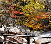 설악산 천불동 계곡의 단풍