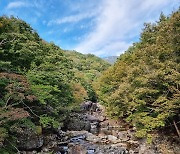 [사진] 구례의 아름다운 단풍