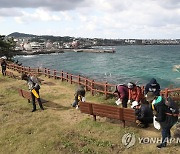 제주, 대체로 흐리고 밤부터 5∼10mm 비