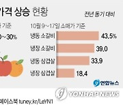 [그래픽] 수입 신선식품 가격 상승 현황