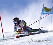 Austria Alpine Skiing World Cup