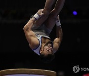 Japan Gymnastics