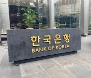 [생생확대경]한국은행의 '맹탕 보고서'