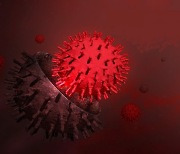 코로나바이러스는 여전히 진화 중.."완치자도 백신 맞아야"