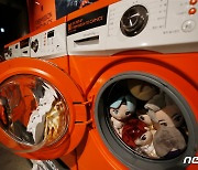 귀여운 방탄소년단 인형, 세탁기에서 '빼꼼'