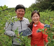 산청군, 14억원 규모 농업발전기금 융자지원