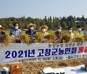 고창군 농민회, 가을 들녘서 '통일쌀' 벼베기 행사