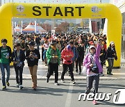 올해 원주 국제걷기대회 내달 6~7일 개최