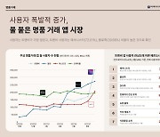 [데이터뉴스]온라인 명품 거래 '쑥', 올해 560만명 이용