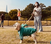 [포토] '오징어게임' 트레이닝복 입은 강아지