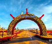 창원시, 제21회 마산국화축제 전면 도보 관람 전환.. 백신 미접종자도 관람