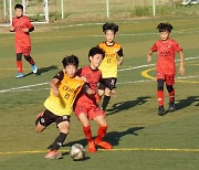 유비스포츠X퀴즈톡, 포항시와 함께 유소년 축구 메카 꿈꾼다