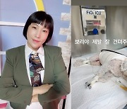 '윤승열♥' 김영희, 반려견 보리 무슨 일?.."제발 잘 견뎌주라"
