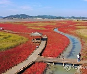 가을 갯벌 산책