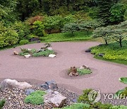 Gardening-Japanese Gardens