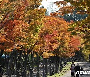 [오늘의 날씨]전북(27일, 수)..짙은 안개, 낮·밤 기온차 10도