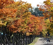 [오늘의 날씨]인천(27일, 수)..새벽 한때 비, 대체로 맑음