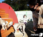 40년간 공설화장장 봉수로 산책로에 '반려견 놀이터'..인기