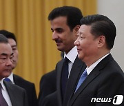 시진핑, 伊 G20 정상회의 불참..왕이 외교부장이 대신 참석
