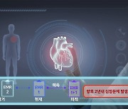 ETRI, 인공지능주치의 '닥터AI' 개발.."비대면 협진체계 구축"