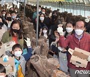 "청도 청정 표고버섯따기 좋아요