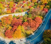 구불구불 단양 보발재 따라 울긋불긋 수놓은 단풍 장관!