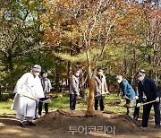 백담사에 '님의 침묵'에 나오는 '만해의 단풍나무 숲' 조성된다!