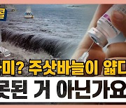 [시청자브리핑 시시콜콜] "쓰나미? 주삿바늘이 얇다?" 잘못된 거 아닌가요?