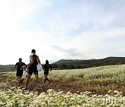 "제주 들녘을 달린다 본다 느낀다" 서귀포시 국제트레일러닝대회