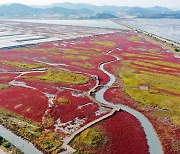 세계유산 '한국의 갯벌' 2025년까지 9곳 추가 등재 추진