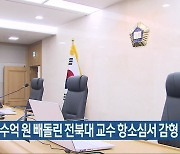 인건비 수억 원 빼돌린 전북대 교수 항소심서 감형