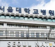 서울대병원 노조, 내달 10일 '파업' 예고.. 조합원 찬반투표서 92.2% '찬성'