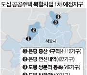 정부 공공주택개발 밀어붙였지만..서울 외곽서만 환영
