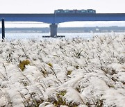 인천, 아침까지 곳곳 산발적 비..출근길 짙은 안개 주의