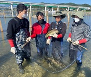 경북도 민물고기연구센터, 올해 회귀 연어 첫 포획