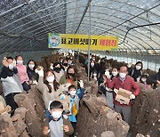 청도군 친환경농업 체험행사 '성황'