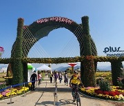 '마산국화축제' 개막, 꽃밭 거닐며 만끽하는 가을향기