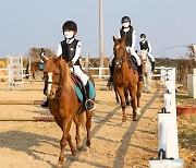 익산시 승마 레저 중심 관광테마도시로 나서