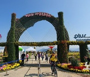 "이게 얼마만이야" 걸으며 꽃구경 하는 마산국화축제 개막