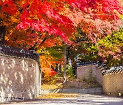 가을 단풍, 궁궐·왕릉에서 역사여행과 함께 즐기자!