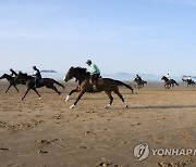 익산시, 승마 스포츠관광 대표 도시 도약 꿈꾼다