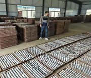 중국서 총매장량 50t이상 대규모 금광 무더기 발견
